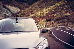 旅行者汽车，价格与配置全解析，性价比之选还是豪华体验？