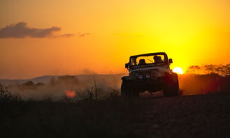 探索自由，旅游车视频播放大全图片中的汽车文化与旅行魅力