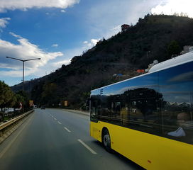 自驾游必备揭秘旅游用的车价格，经济型到豪华型全解析